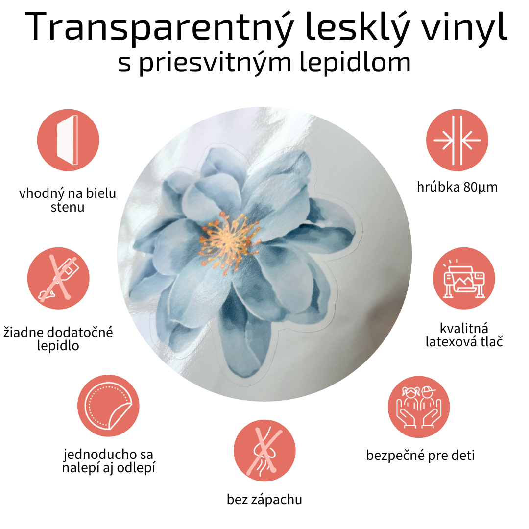 Transparentný vinyl